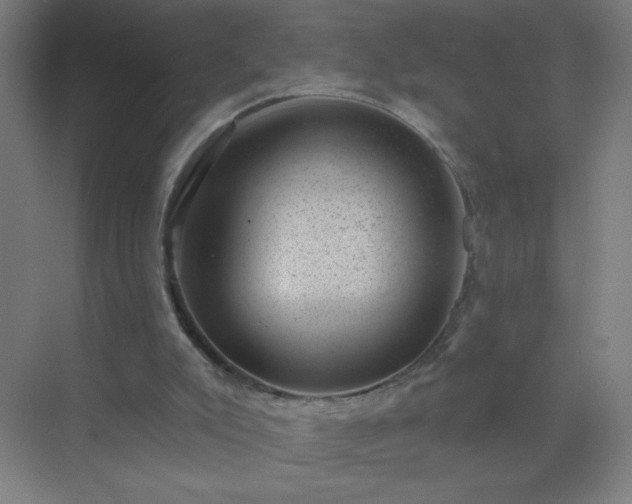 X0000072920007200607282123