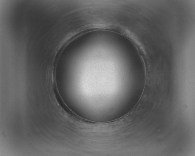 X0000072920011200607282123