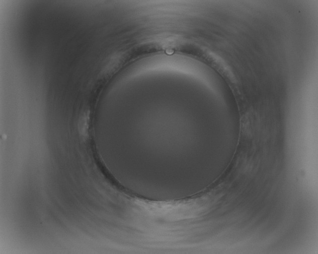 X0000072920018200607282123