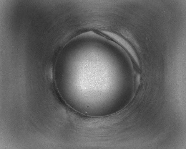X0000072920021200607282123