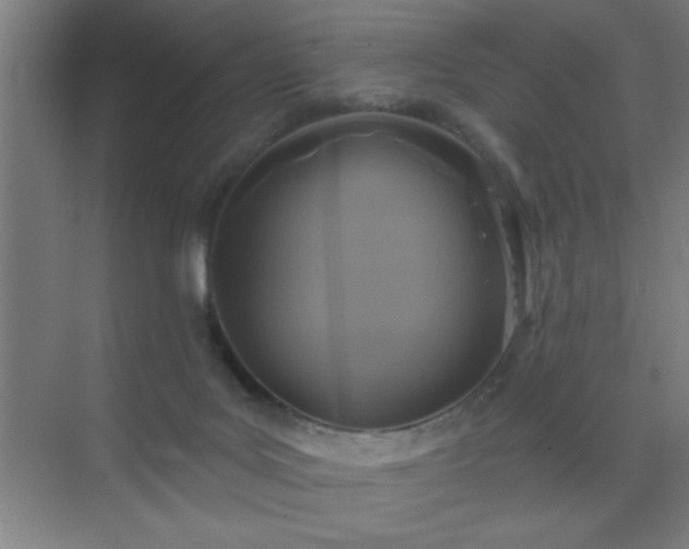 X0000072920027200607282123