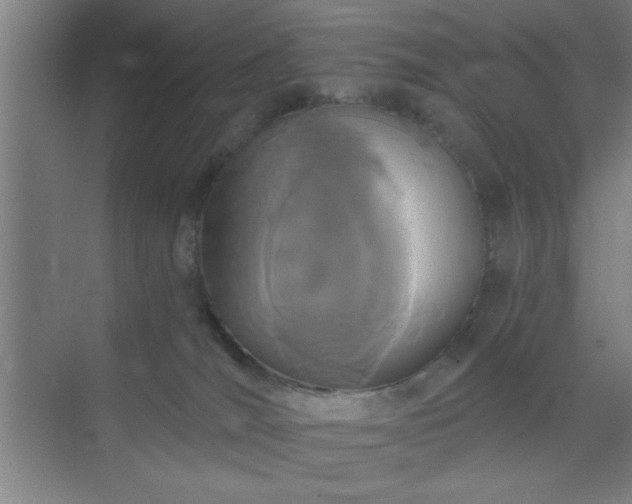 X0000072920036200607282123