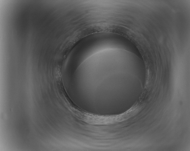 X0000072920048200607282123