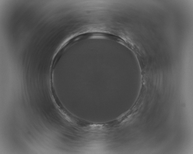 X0000072920052200607282122
