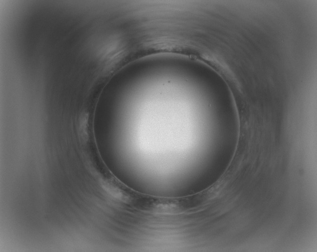 X0000072920066200607282122