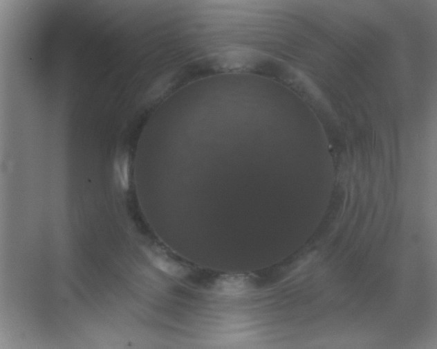 X0000072920076200607282122