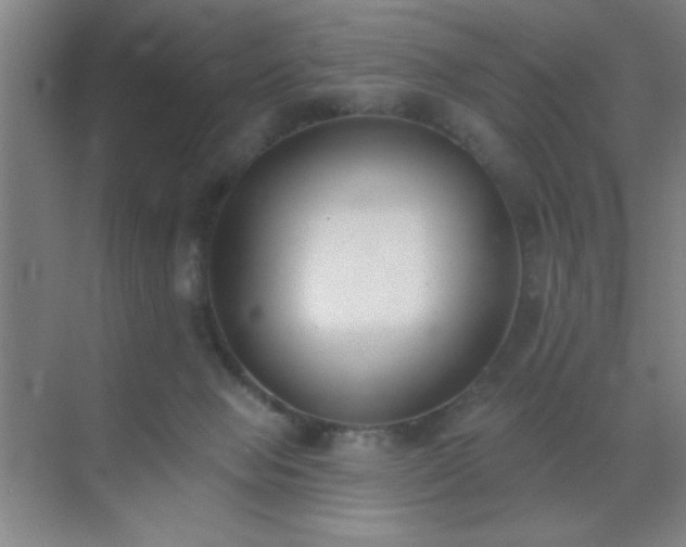 X0000072920077200607282122