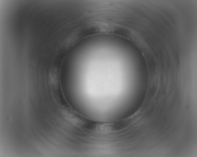 X0000072920078200607282122