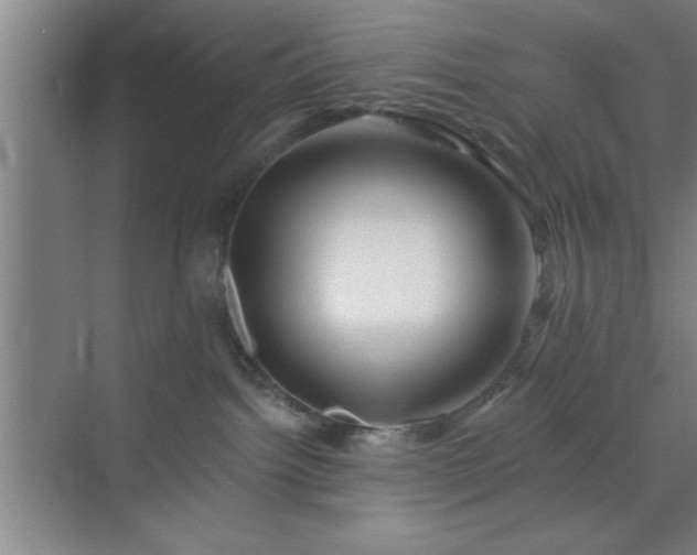 X0000072920092200607282123