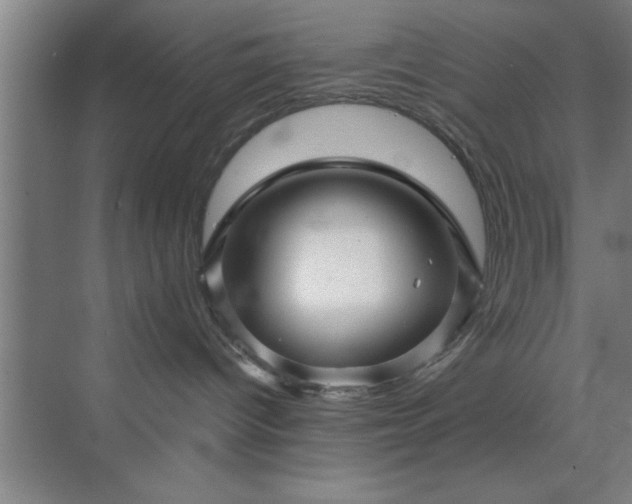 X0000072920096200607282123