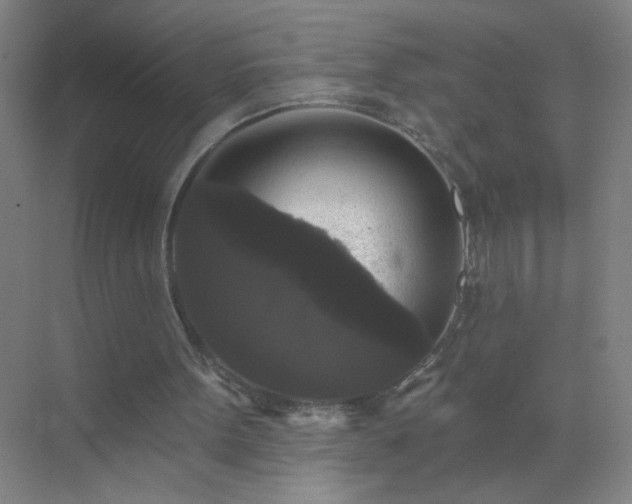 X0000072920099200607282122