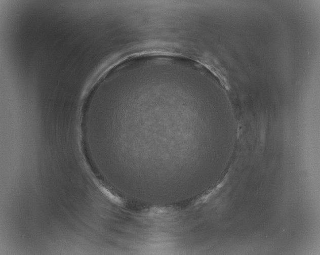 X0000072920101200607282122