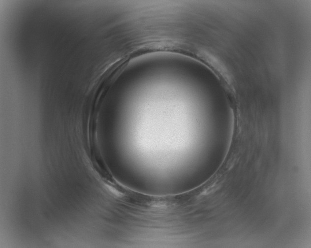 X0000072920105200607282122