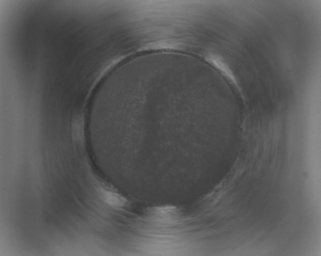 X0000072920108200607282122