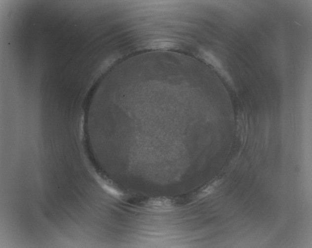 X0000072920110200607282122