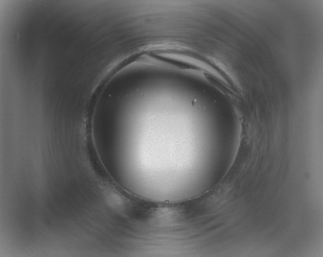 X0000072920111200607282122
