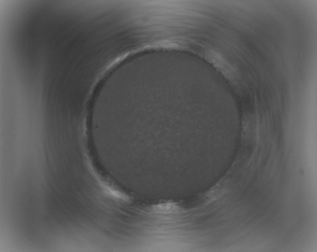 X0000072920112200607282122