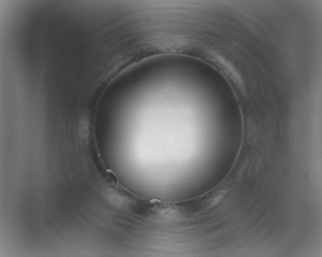 X0000072920113200607282122