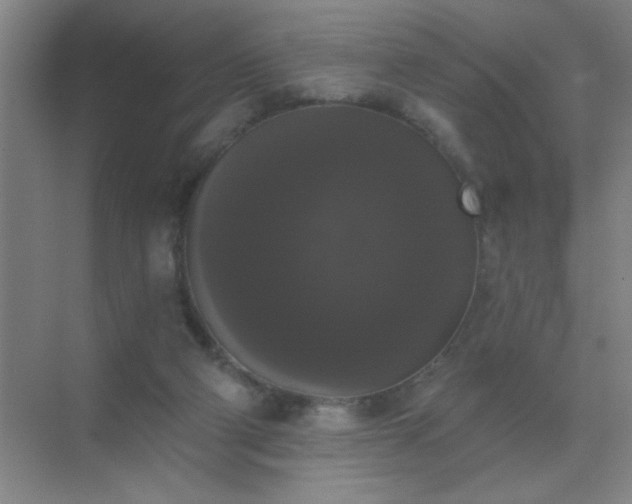 X0000072920114200607282121