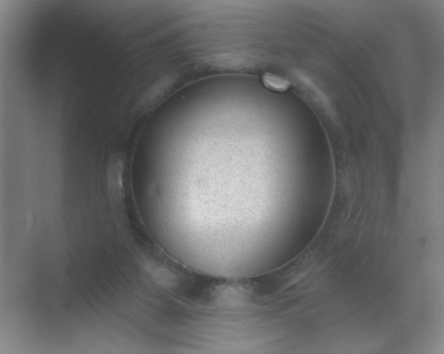 X0000072920115200607282121