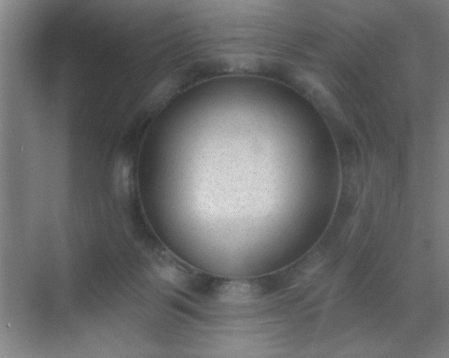 X0000072920123200607282121