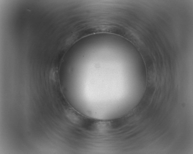 X0000072920126200607282121