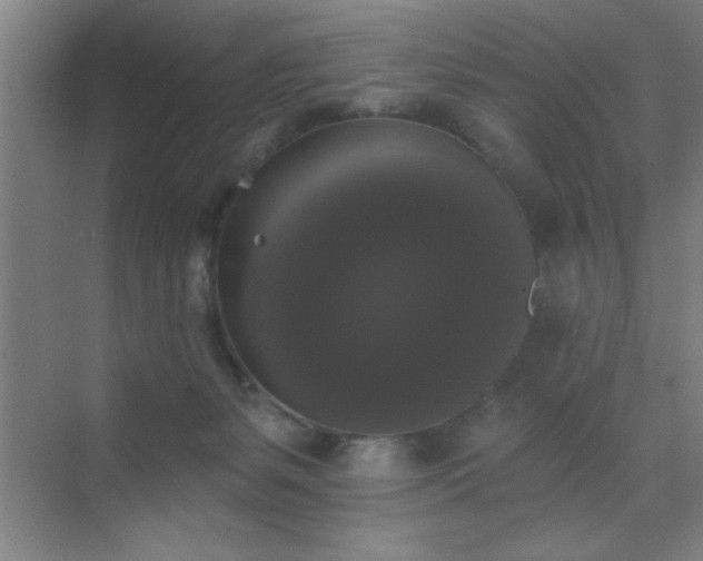 X0000072920127200607282121