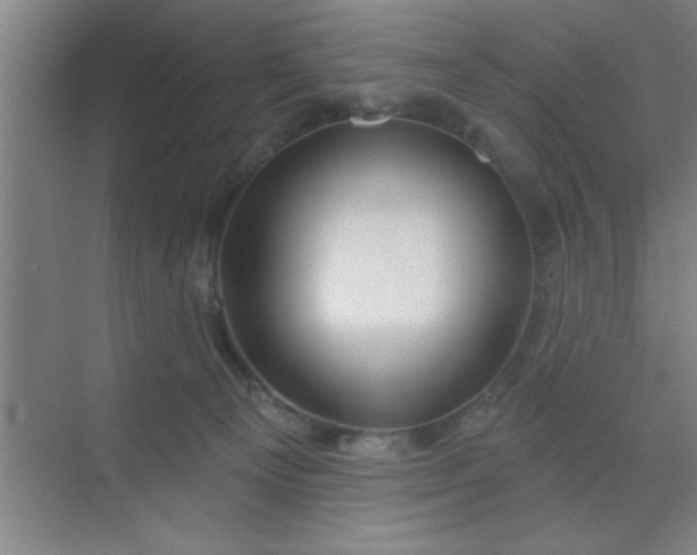 X0000072920129200607282121