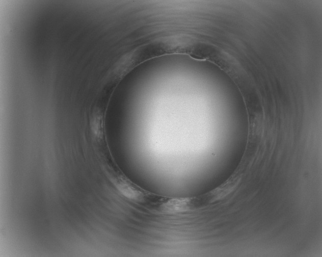 X0000072920138200607282121