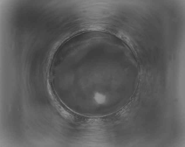 X0000072920145200607282120