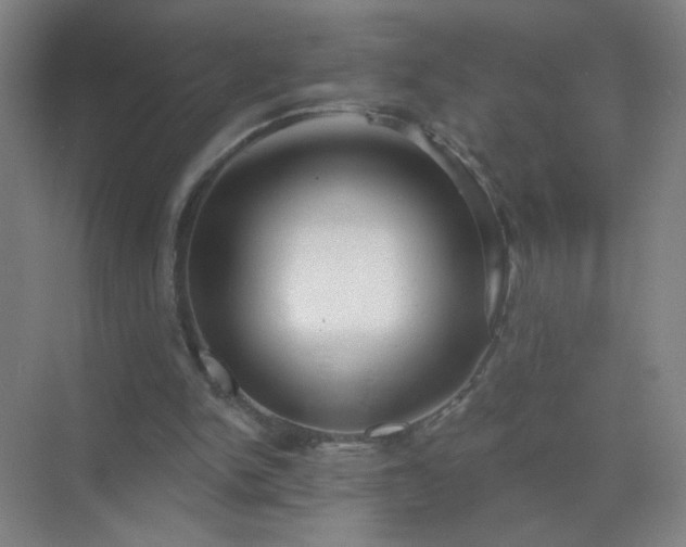 X0000072920150200607282120