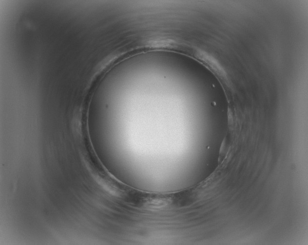 X0000072920155200607282120