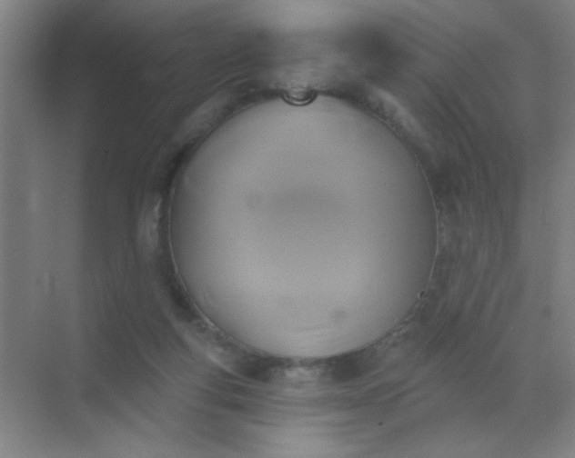 X0000072920163200607282120