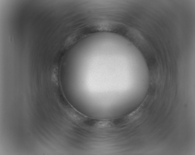 X0000072920175200607282121