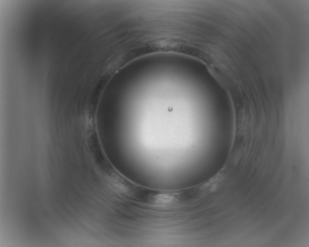 X0000072920176200607282121