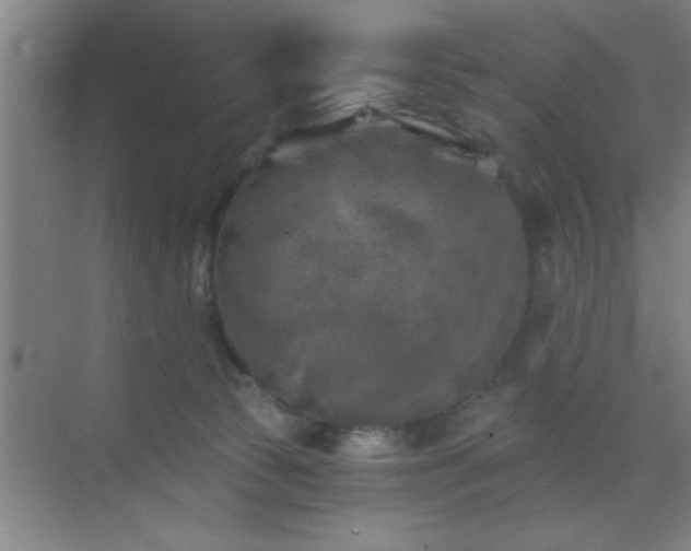 X0000072920177200607282121