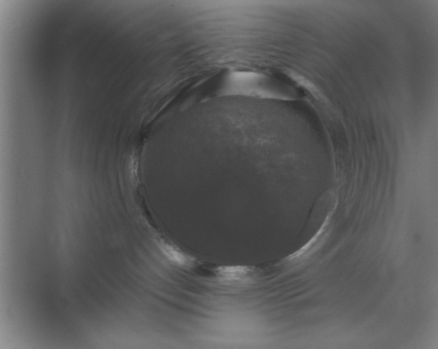 X0000072920192200607282121