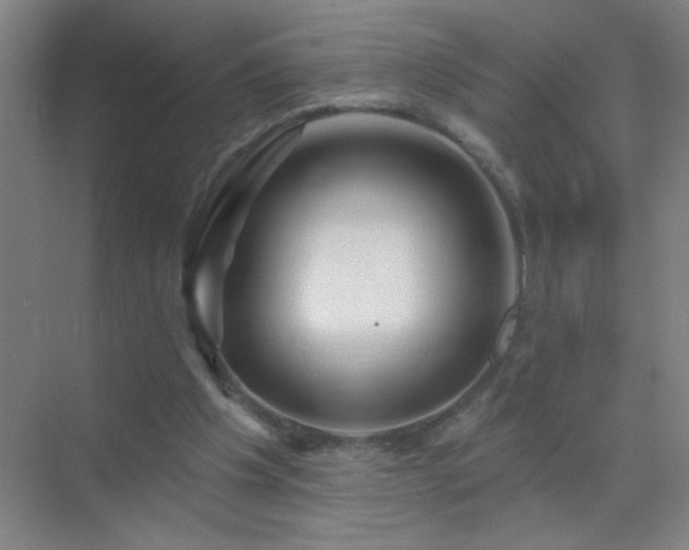 X0000072920201200607282120