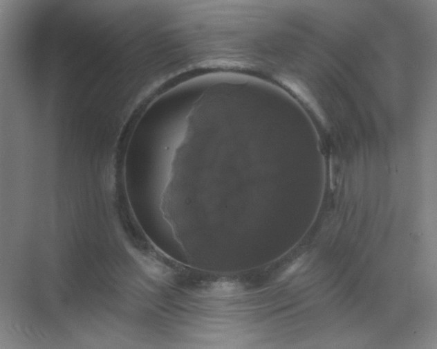 X0000072920204200607282120