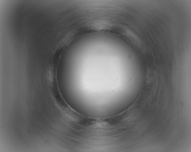 X0000072920210200607282120