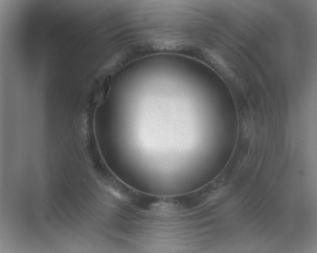 X0000072920211200607282120