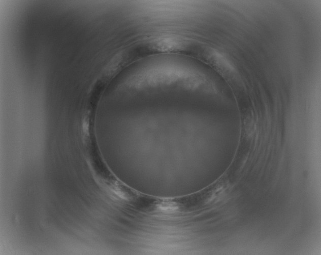 X0000072920214200607282120