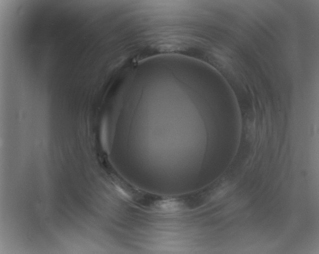 X0000072920219200607282120