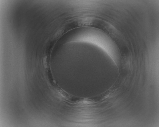 X0000072920224200607282120