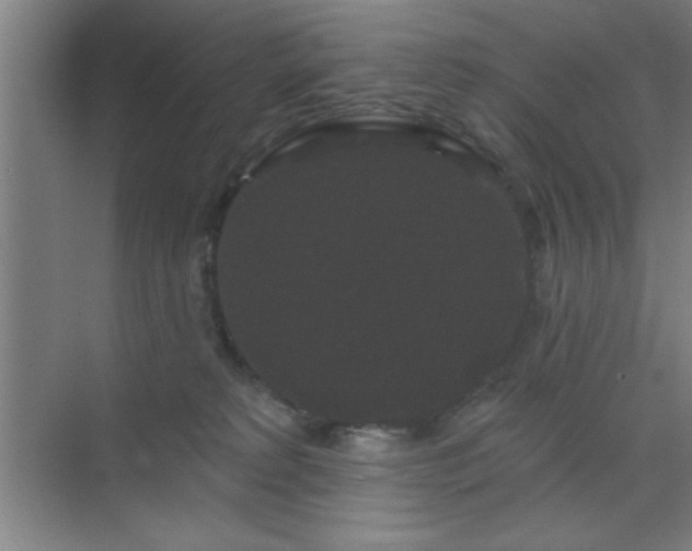 X0000072920229200607282120