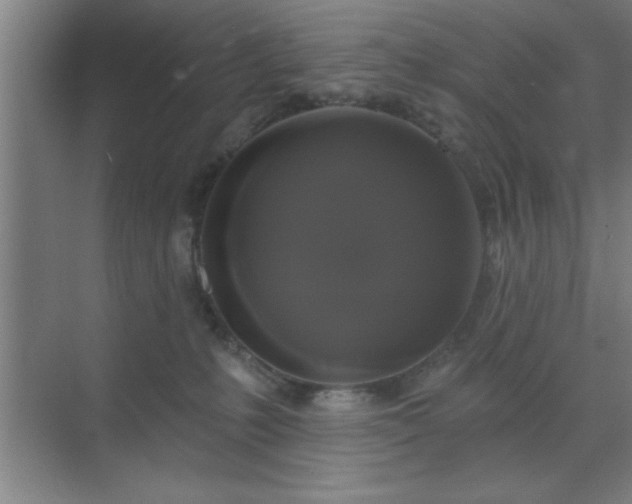 X0000072920231200607282120