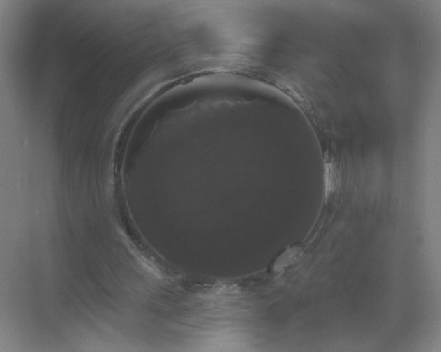 X0000072920243200607282119