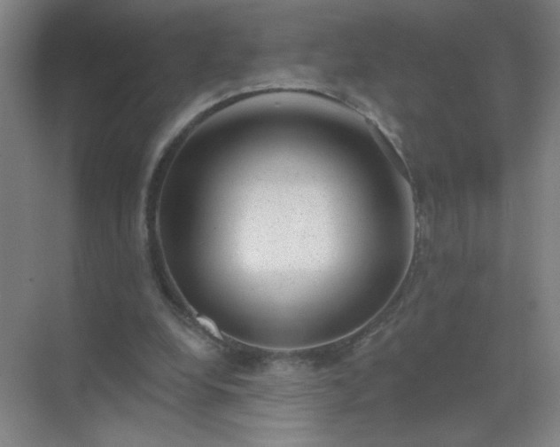 X0000072920248200607282119