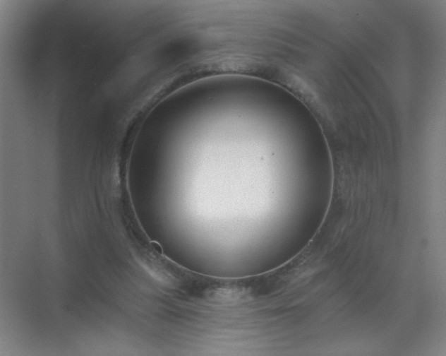 X0000072920251200607282119