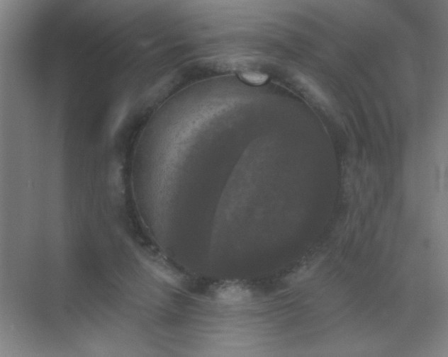 X0000072920258200607282119